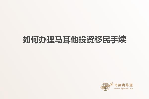如何办理马耳他投资移民手续
