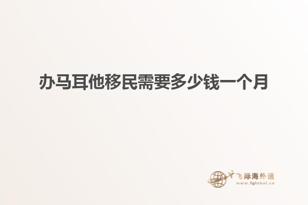 办马耳他移民需要多少钱一个月