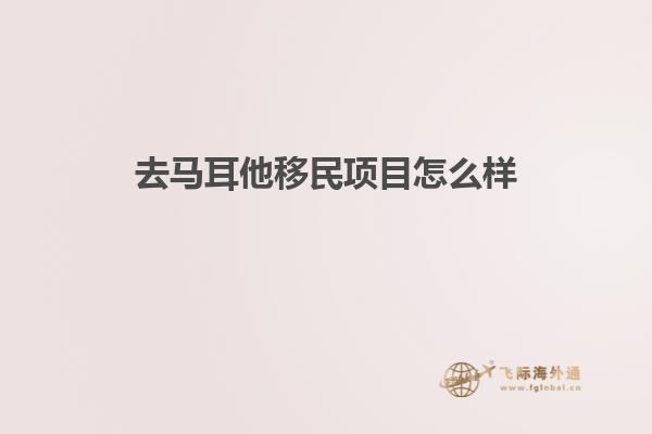 去马耳他移民项目怎么样