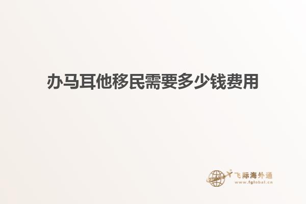 办马耳他移民需要多少钱费用