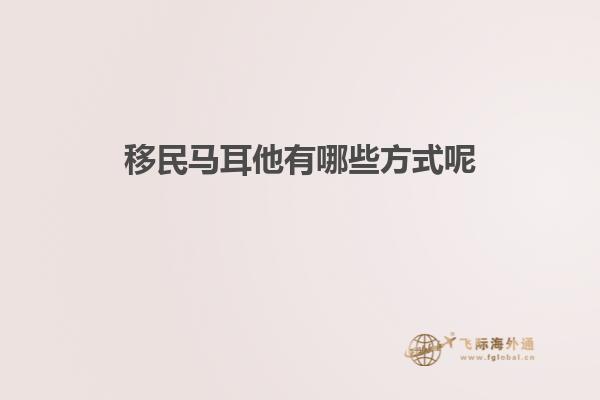 移民马耳他有哪些方式呢