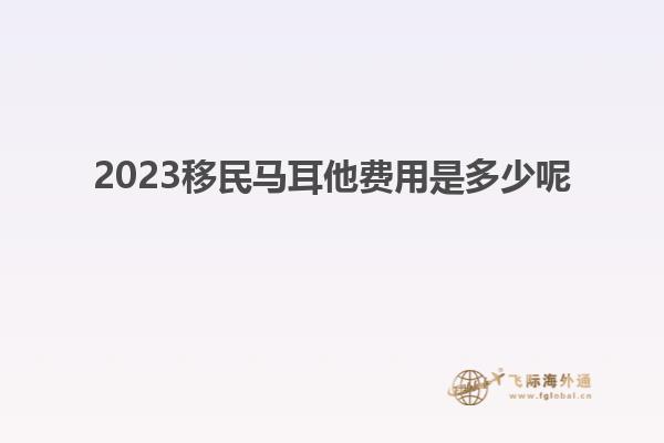 2023移民马耳他费用是多少呢