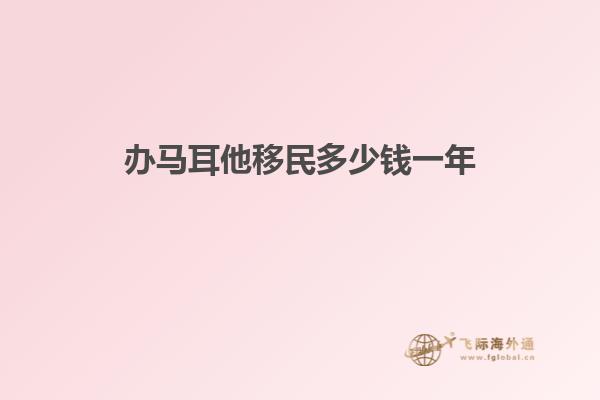 办马耳他移民多少钱一年