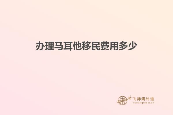 办理马耳他移民费用多少