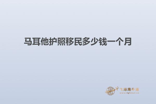 马耳他护照移民多少钱一个月