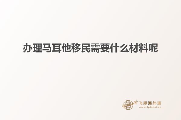 办理马耳他移民需要什么材料呢