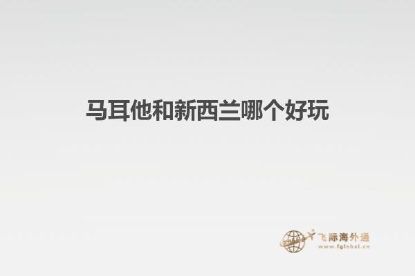 马耳他和新西兰哪个好玩