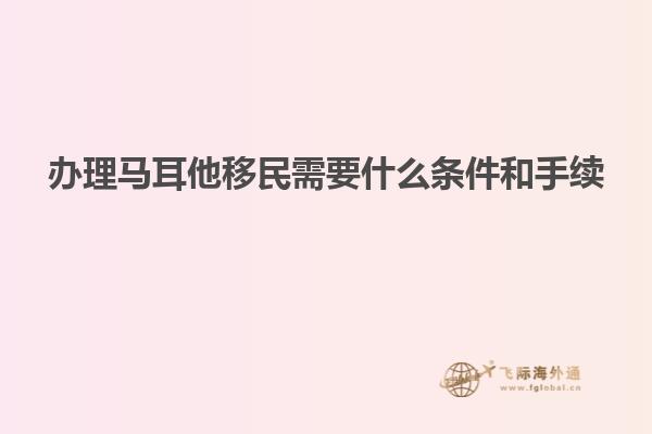 办理马耳他移民需要什么条件和手续