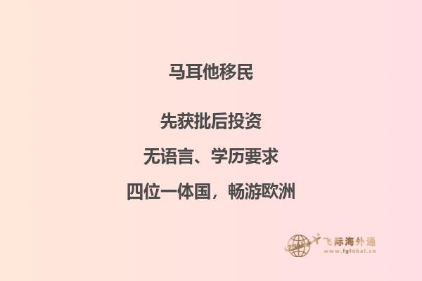 办理马耳他移民需要什么条件和手续