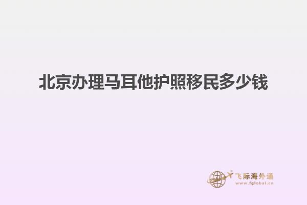 北京办理马耳他护照移民多少钱