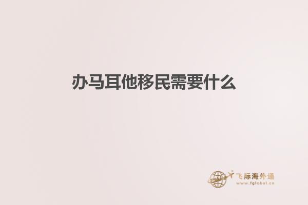办马耳他移民需要什么