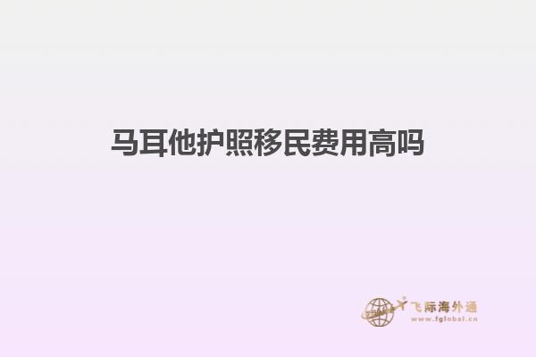 马耳他护照移民费用高吗