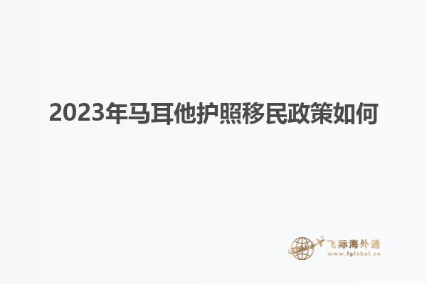 2023年马耳他护照移民政策如何