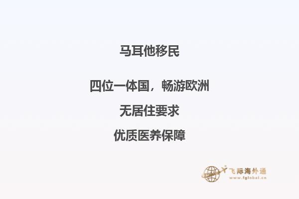 马耳他护照移民方式是什么