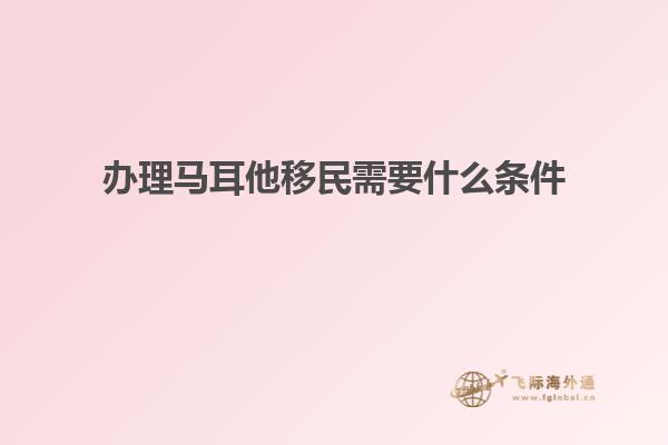 办理马耳他移民需要什么条件