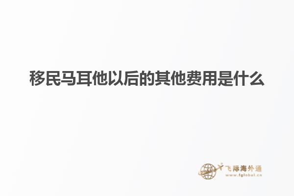 移民马耳他以后的其他费用是什么