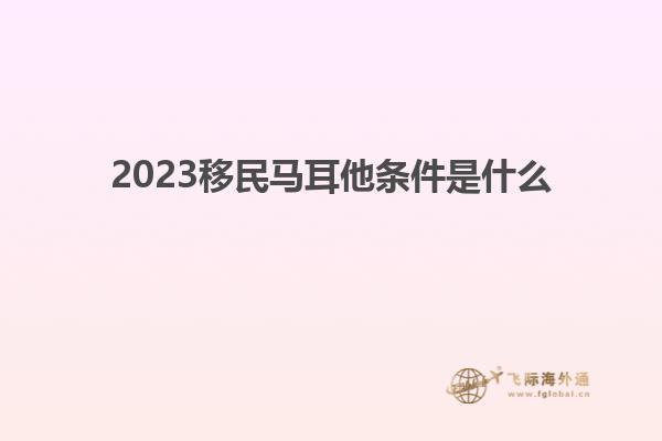 2023移民马耳他条件是什么
