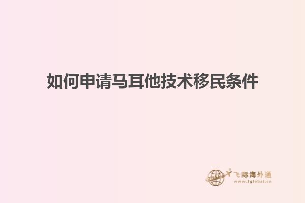 如何申请马耳他技术移民条件