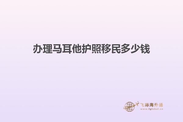 办理马耳他护照移民多少钱