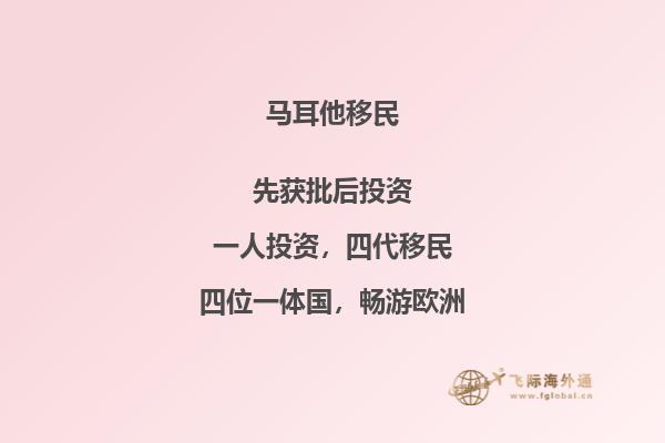 马耳他移民项目的教育经验分享