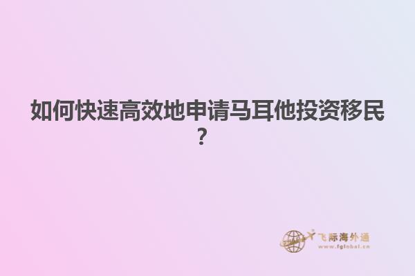 如何快速高效地申请马耳他投资移民？