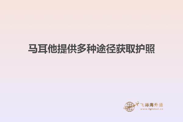 马耳他提供多种途径获取护照