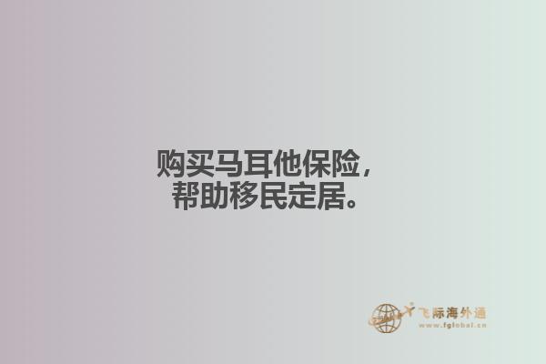 购买马耳他保险，帮助移民定居。