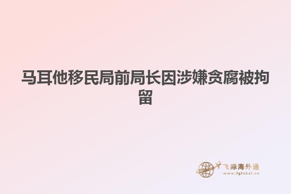 马耳他移民局前局长因涉嫌贪腐被拘留