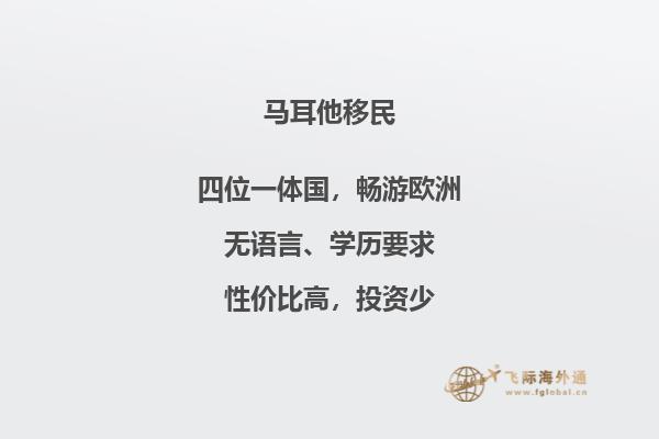 如何在法律允许范围内完成从马耳他到美国的移民？