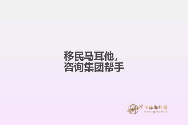 移民马耳他，咨询集团帮手