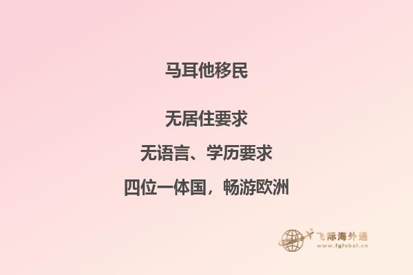 马耳他移民代理收费：费用详情揭秘