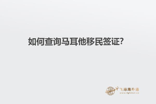 如何查询马耳他移民签证？