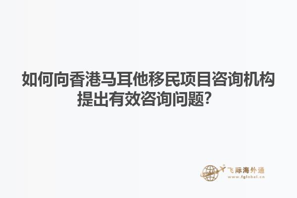 如何向香港马耳他移民项目咨询机构提出有效咨询问题？