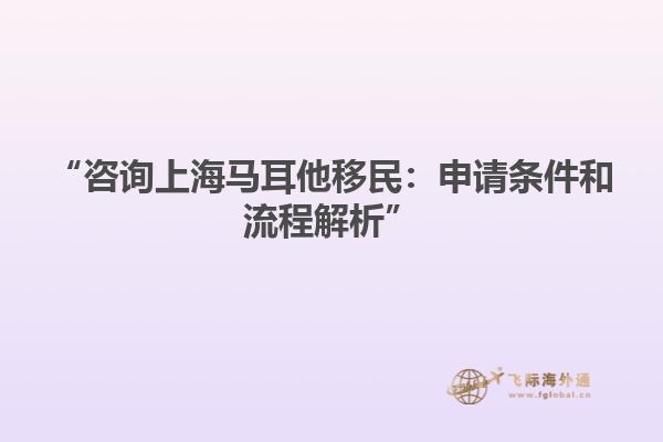 “咨询上海马耳他移民：申请条件和流程解析”