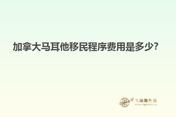 加拿大马耳他移民程序费用是多少？