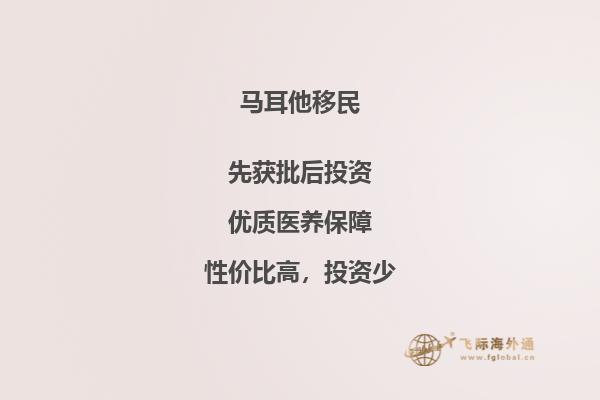 加拿大马耳他移民程序费用是多少？