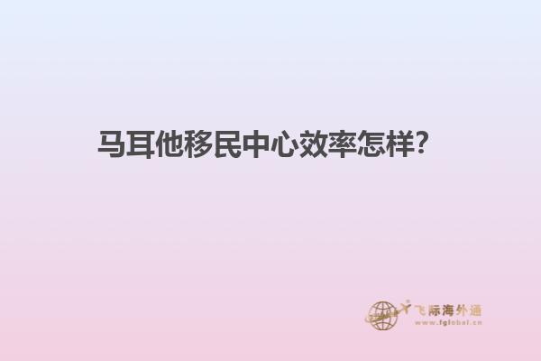 马耳他移民中心效率怎样？