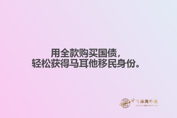 用全款购买国债，轻松获得马耳他移民身份。