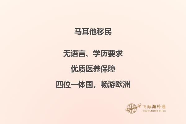 马耳他的投资移民计划值得考虑吗？