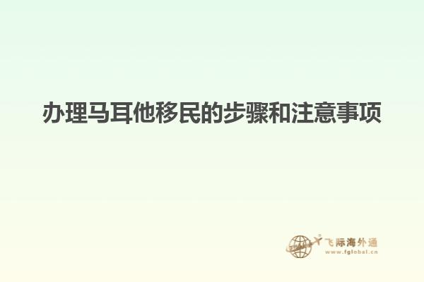 办理马耳他移民的步骤和注意事项