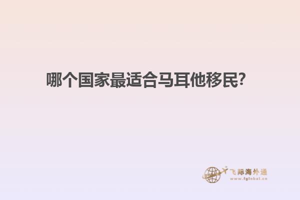哪个国家最适合马耳他移民？