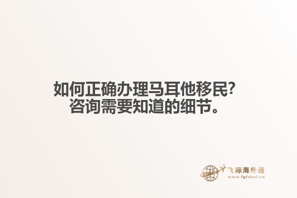 如何正确办理马耳他移民？咨询需要知道的细节。