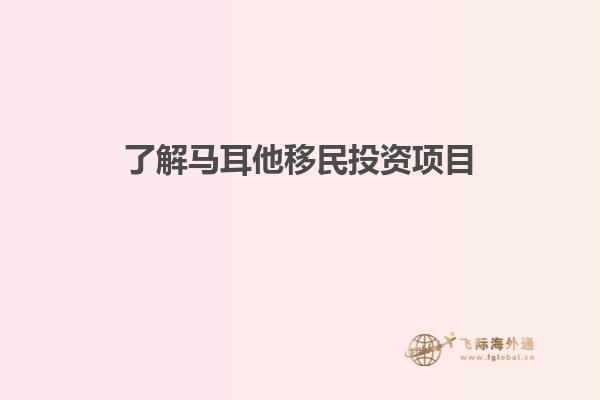 了解马耳他移民投资项目