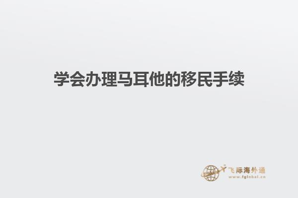 学会办理马耳他的移民手续