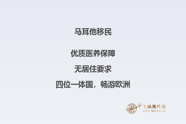 学会办理马耳他的移民手续