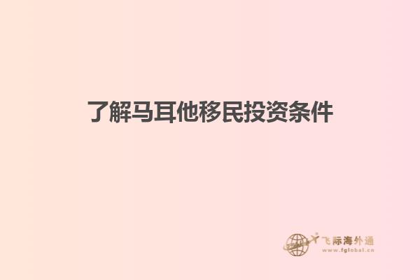 了解马耳他移民投资条件