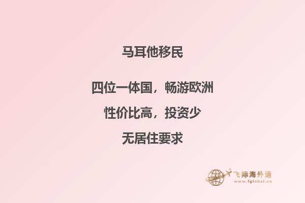 了解马耳他移民投资条件