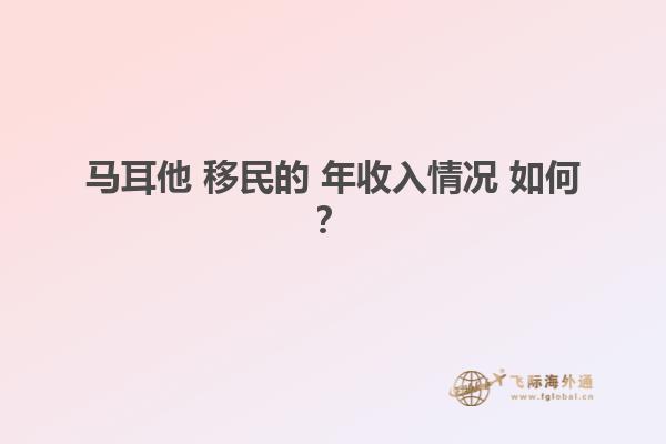 马耳他 移民的 年收入情况 如何？