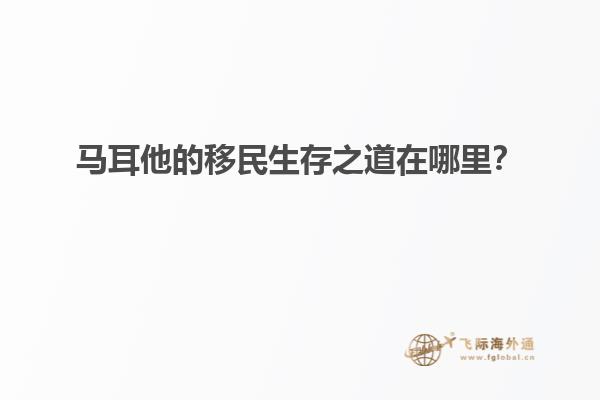 马耳他的移民生存之道在哪里？