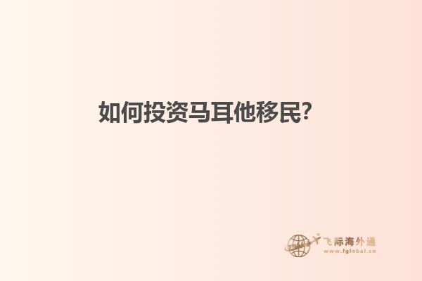 如何投资马耳他移民？